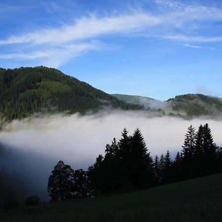 Grassbichlhof Villa อัลเทนมาร์คท์ อิม พองเงา ภายนอก รูปภาพ