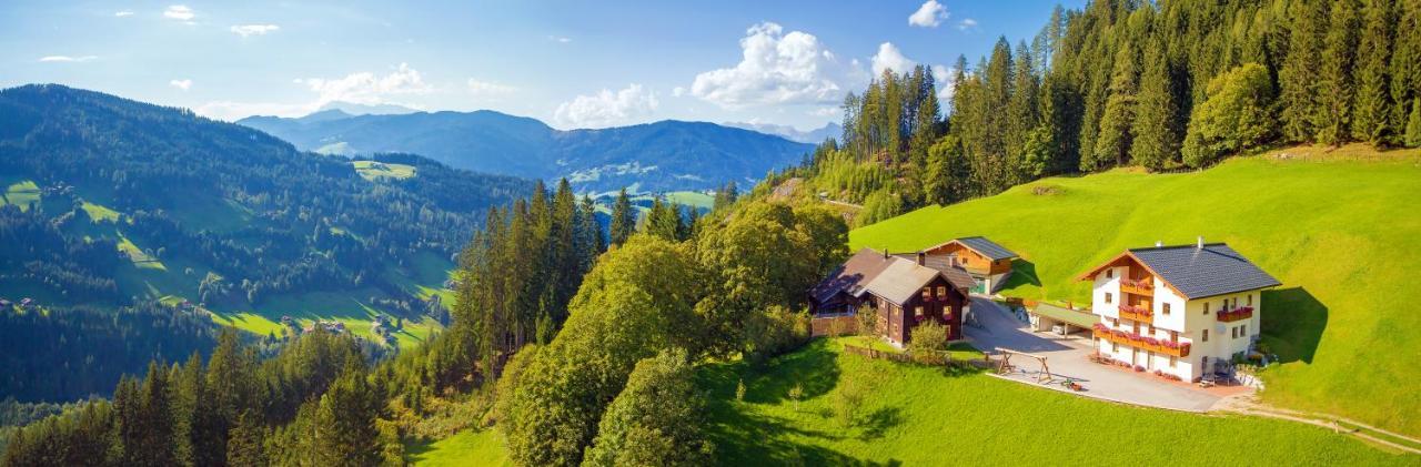 Grassbichlhof Villa อัลเทนมาร์คท์ อิม พองเงา ภายนอก รูปภาพ